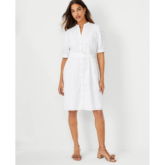 NEW Size SP Ann Taylor Petite Floral Embroidered Tie Waist Shirtdress 591826 - Picture 1 of 5